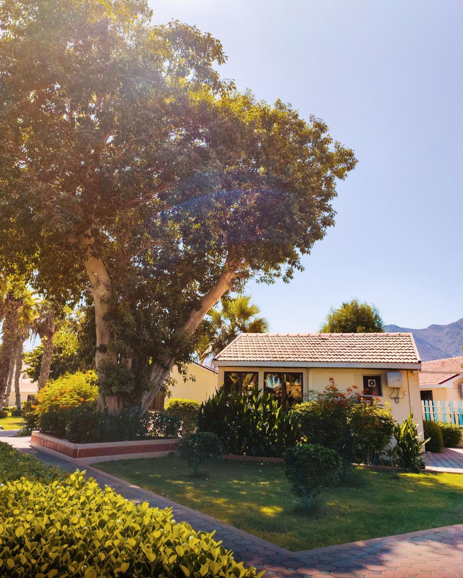 Sandy Beach Hotel & Resort Al Aqah Dış mekan fotoğraf